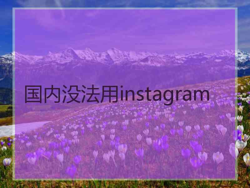 国内没法用instagram