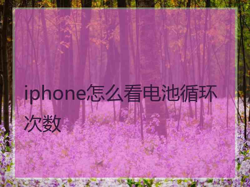 iphone怎么看电池循环次数