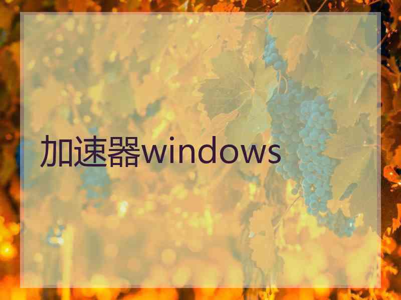 加速器windows