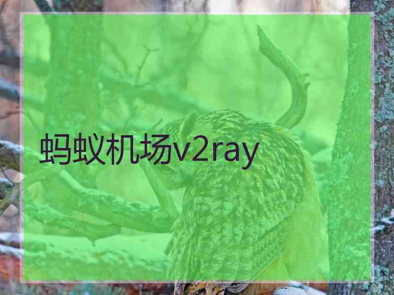 蚂蚁机场v2ray