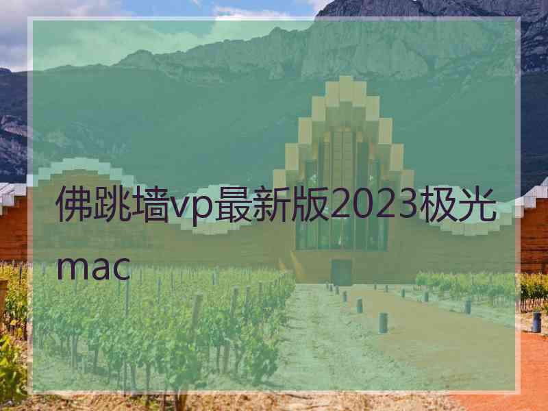 佛跳墙vp最新版2023极光 mac