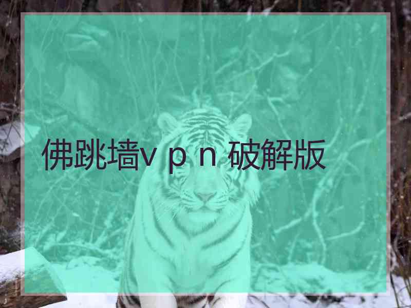 佛跳墙v p n 破解版