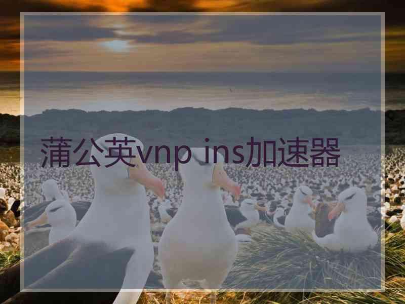 蒲公英vnp ins加速器