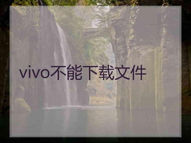 vivo不能下载文件