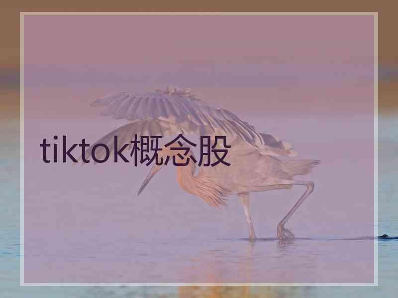 tiktok概念股