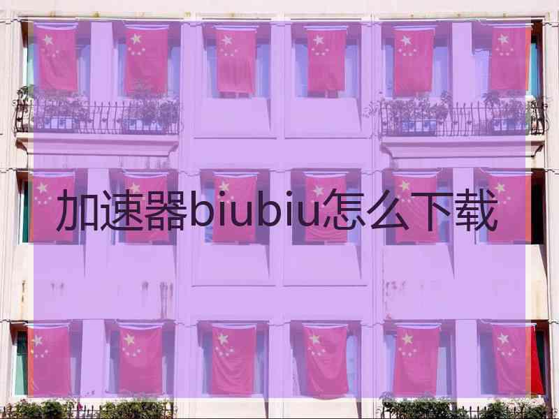 加速器biubiu怎么下载