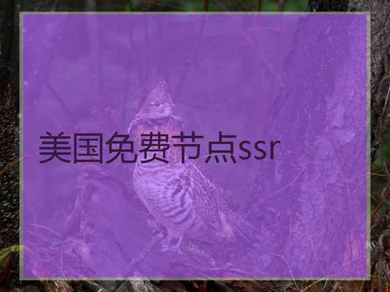 美国免费节点ssr