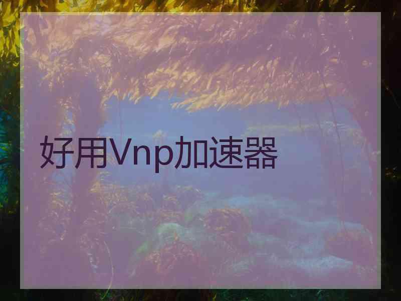 好用Vnp加速器