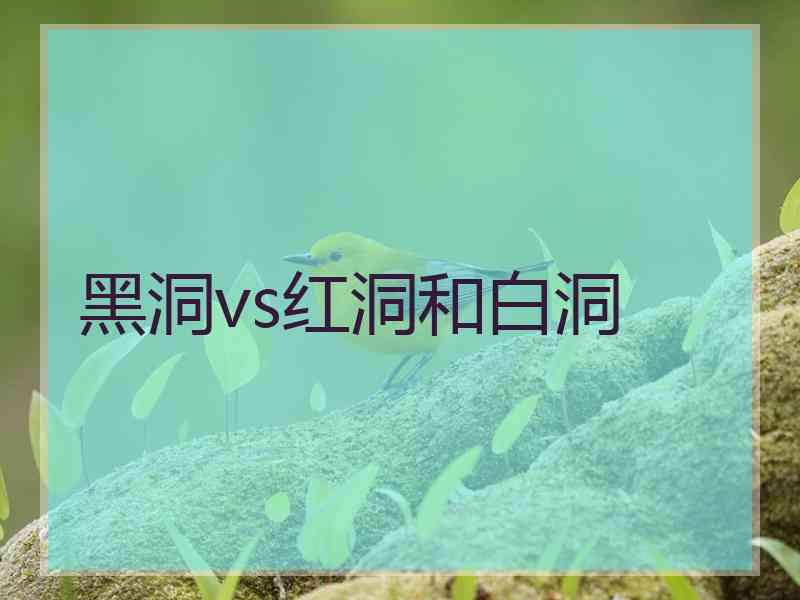 黑洞vs红洞和白洞