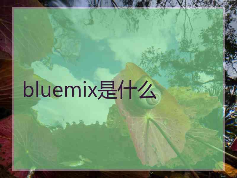 bluemix是什么