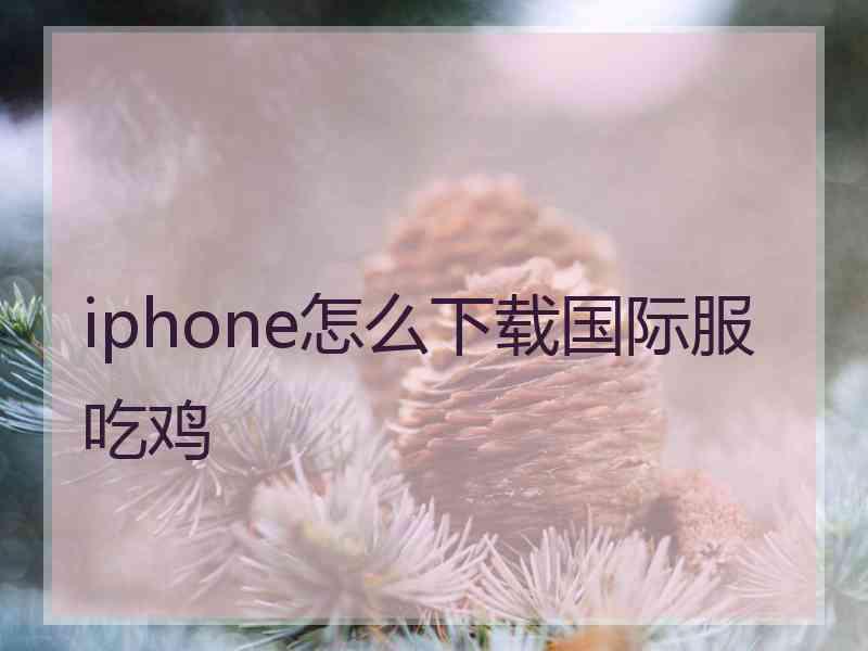 iphone怎么下载国际服吃鸡