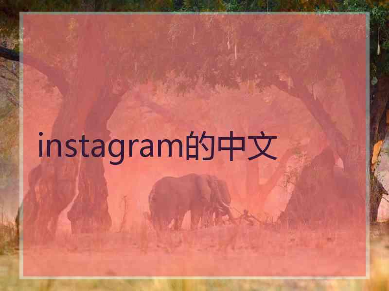 instagram的中文