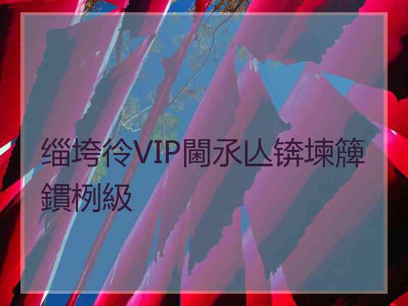 缁垮彾VIP閫氶亾锛堜簰鏆栵級