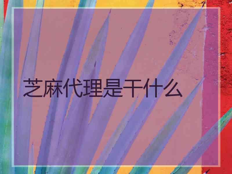 芝麻代理是干什么