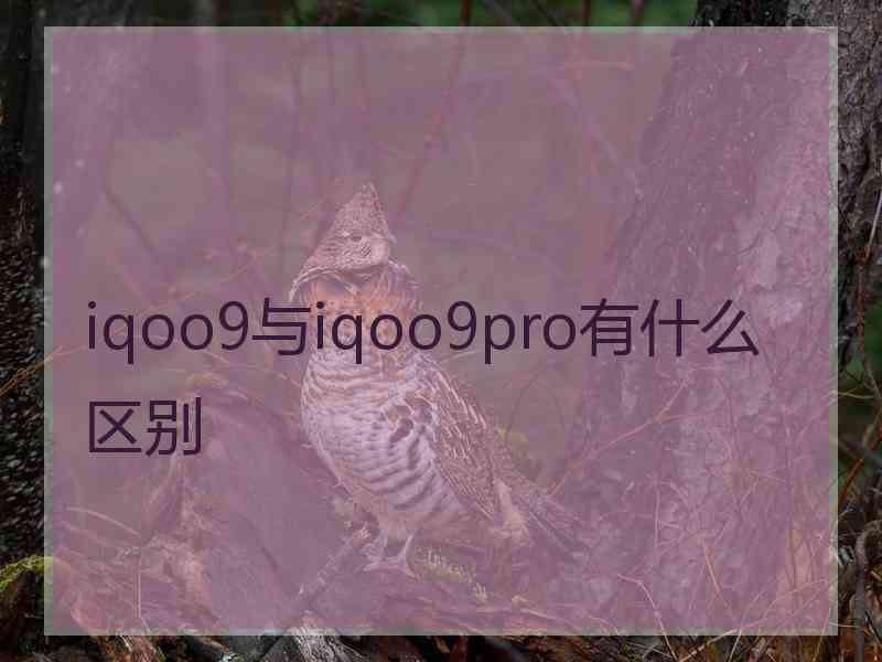 iqoo9与iqoo9pro有什么区别