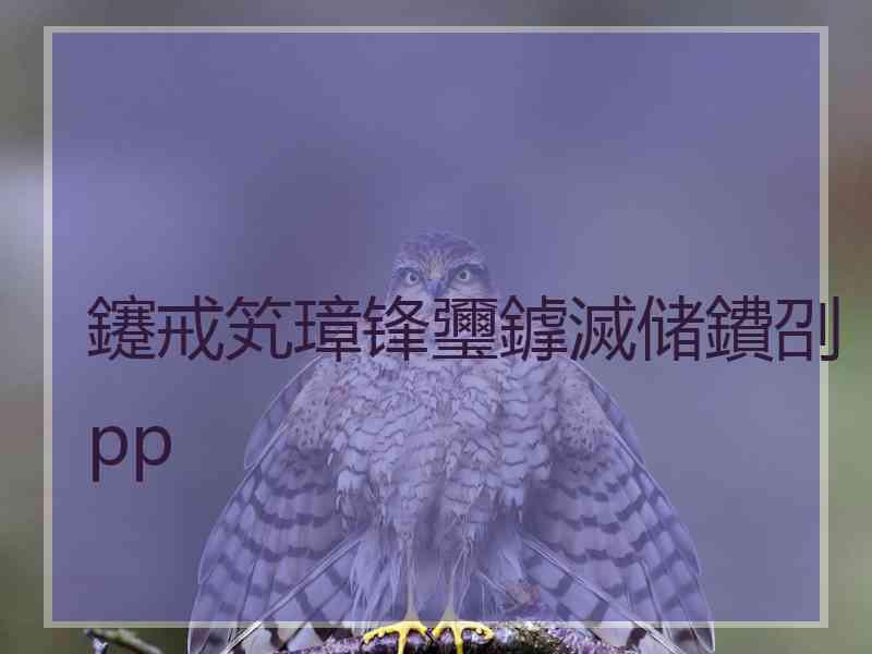 鑳戒笂璋锋瓕鎼滅储鐨刟pp