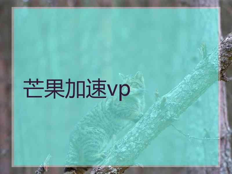 芒果加速vp