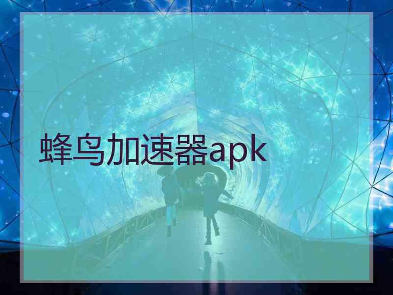 蜂鸟加速器apk