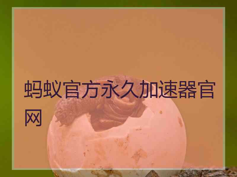 蚂蚁官方永久加速器官网