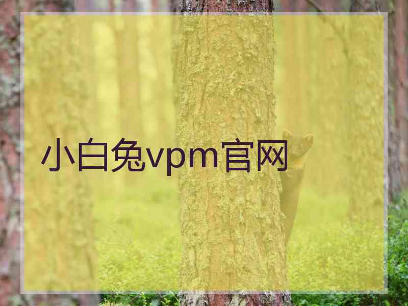 小白兔vpm官网