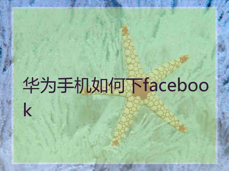 华为手机如何下facebook