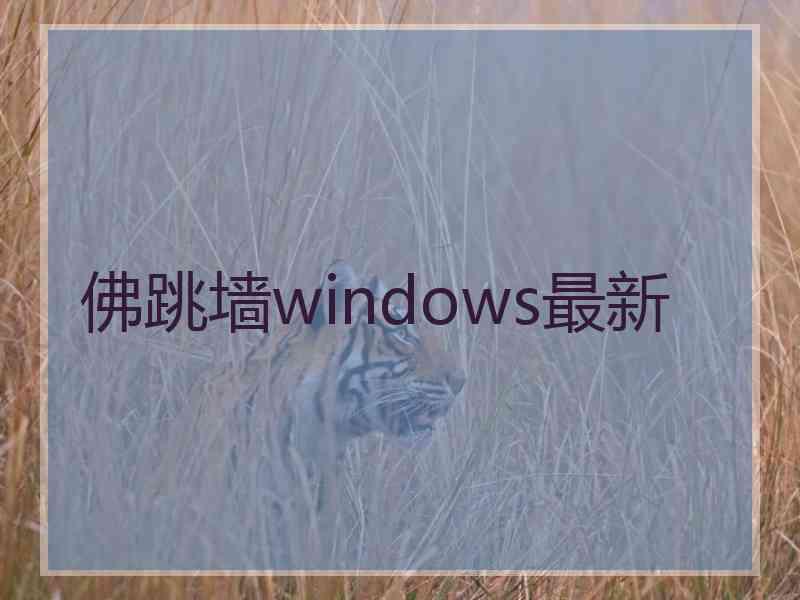 佛跳墙windows最新