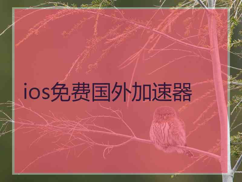 ios免费国外加速器