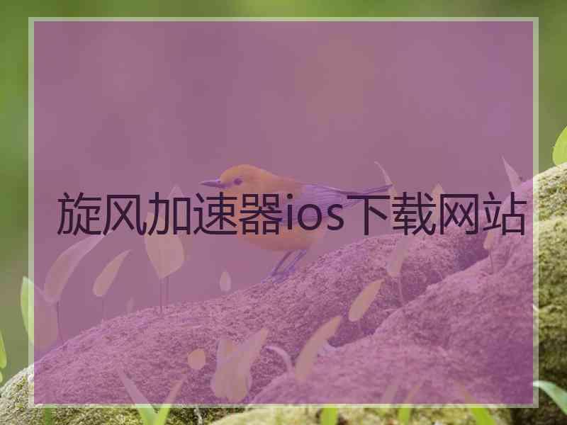 旋风加速器ios下载网站