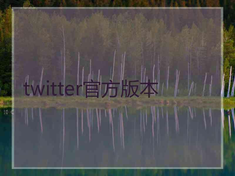 twitter官方版本