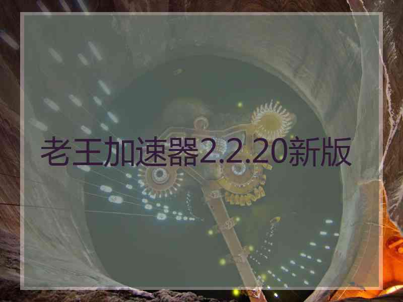 老王加速器2.2.20新版