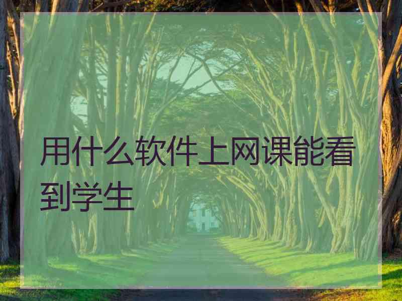 用什么软件上网课能看到学生