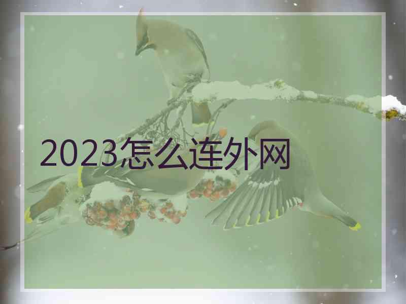 2023怎么连外网