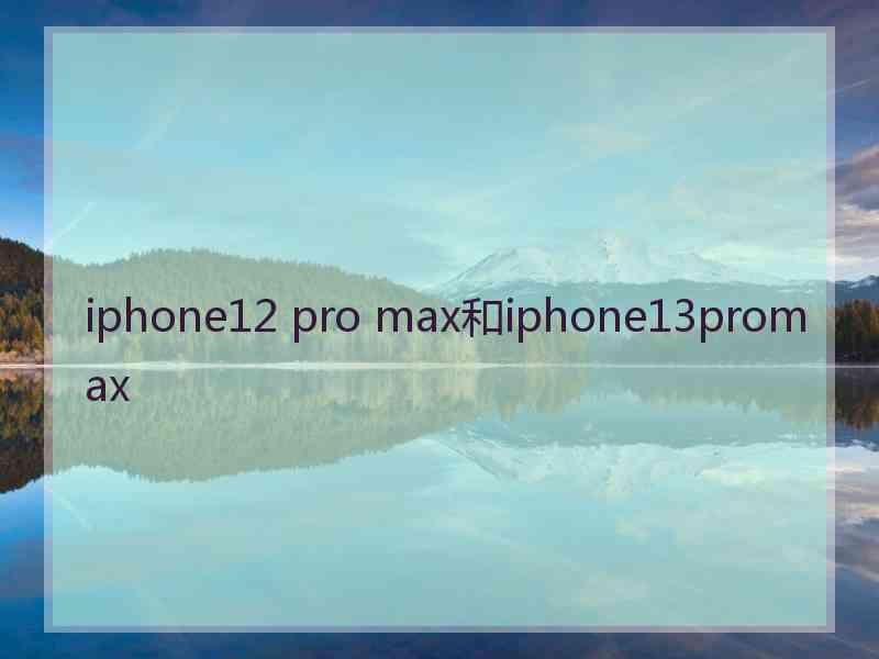 iphone12 pro max和iphone13promax