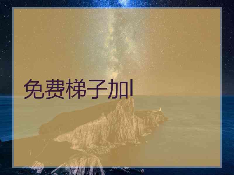 免费梯子加l