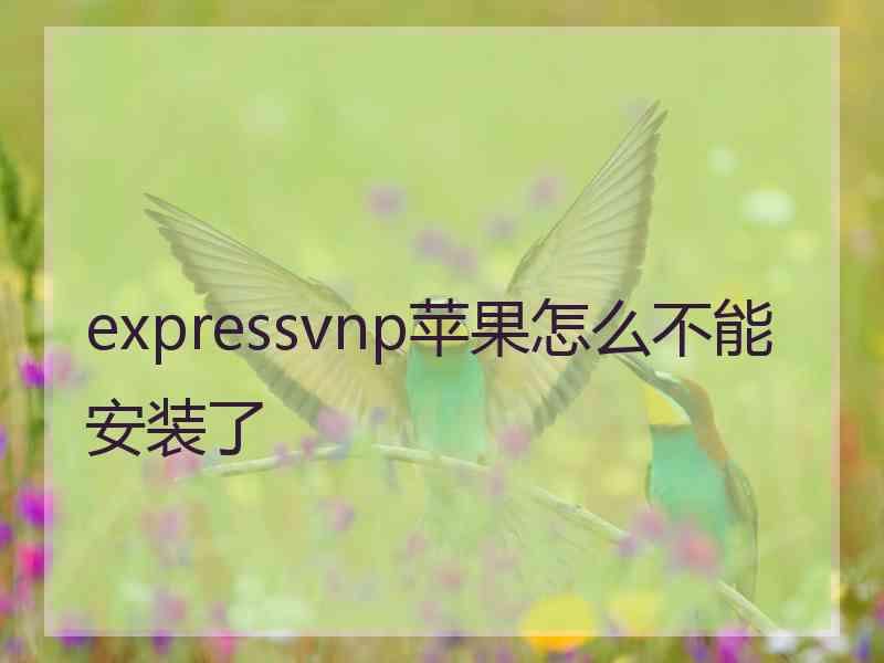 expressvnp苹果怎么不能安装了