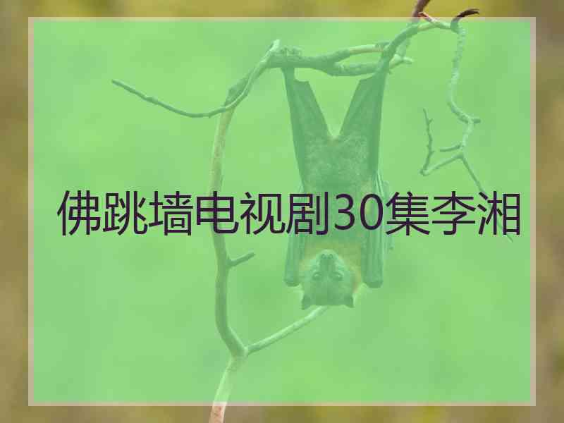 佛跳墙电视剧30集李湘