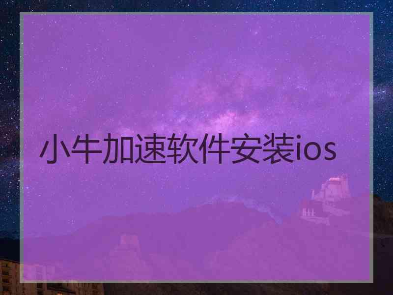 小牛加速软件安装ios