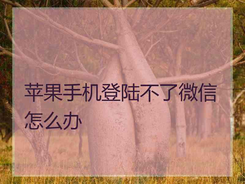 苹果手机登陆不了微信怎么办