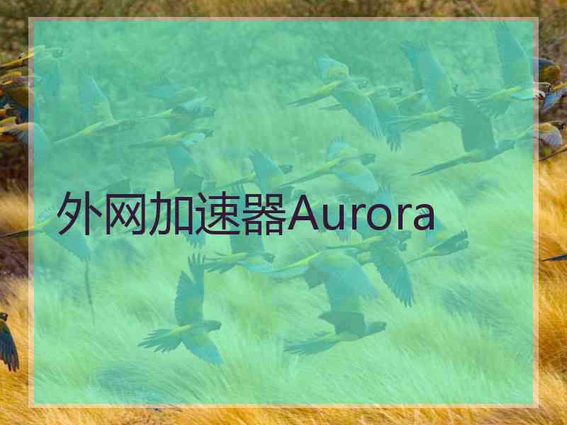 外网加速器Aurora