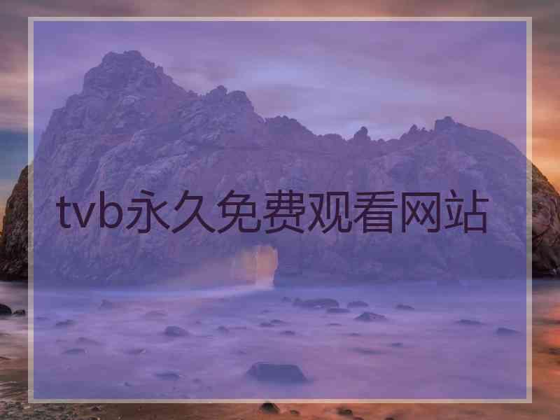 tvb永久免费观看网站