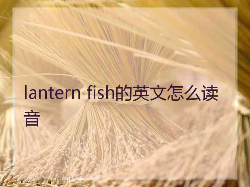 lantern fish的英文怎么读音