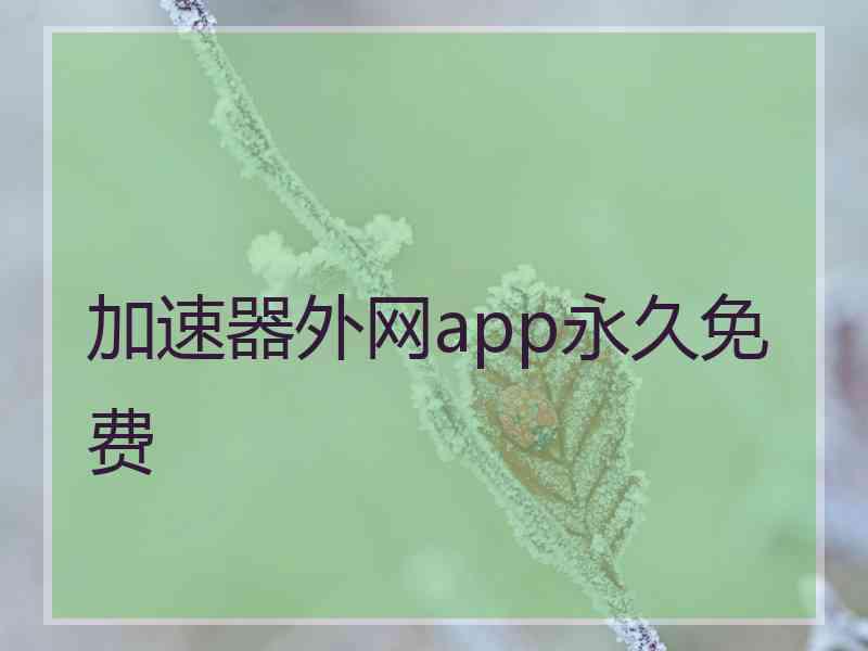 加速器外网app永久免费