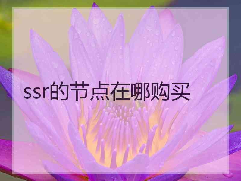 ssr的节点在哪购买