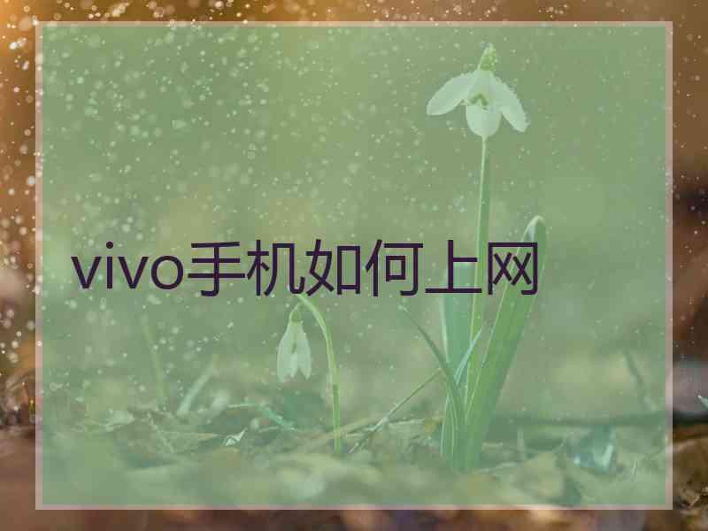 vivo手机如何上网