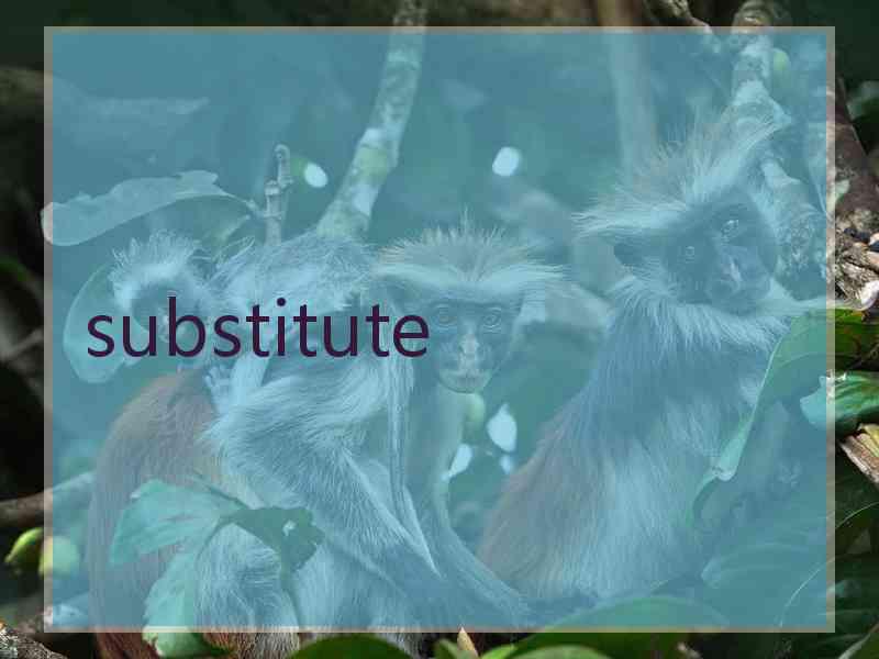 substitute