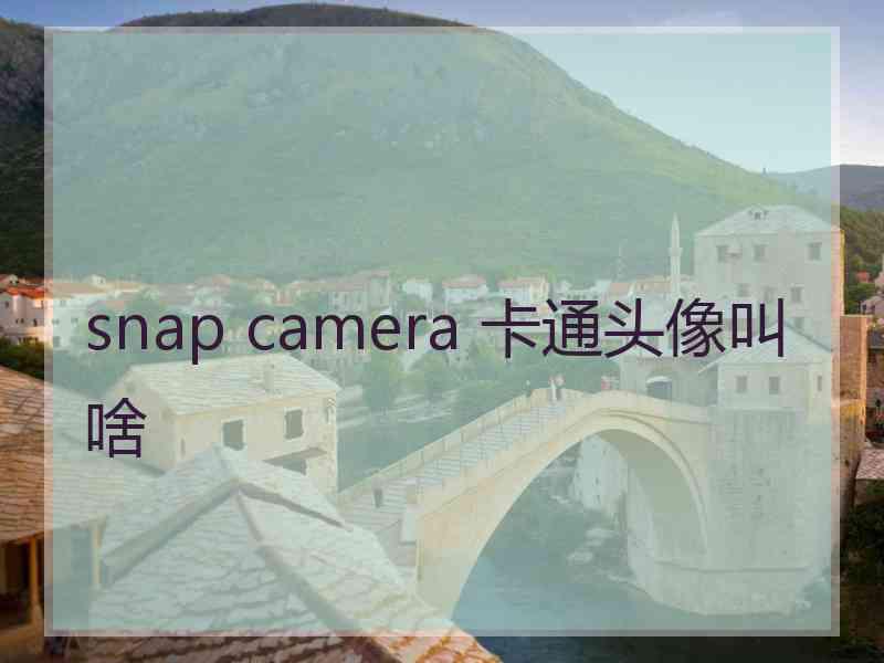 snap camera 卡通头像叫啥