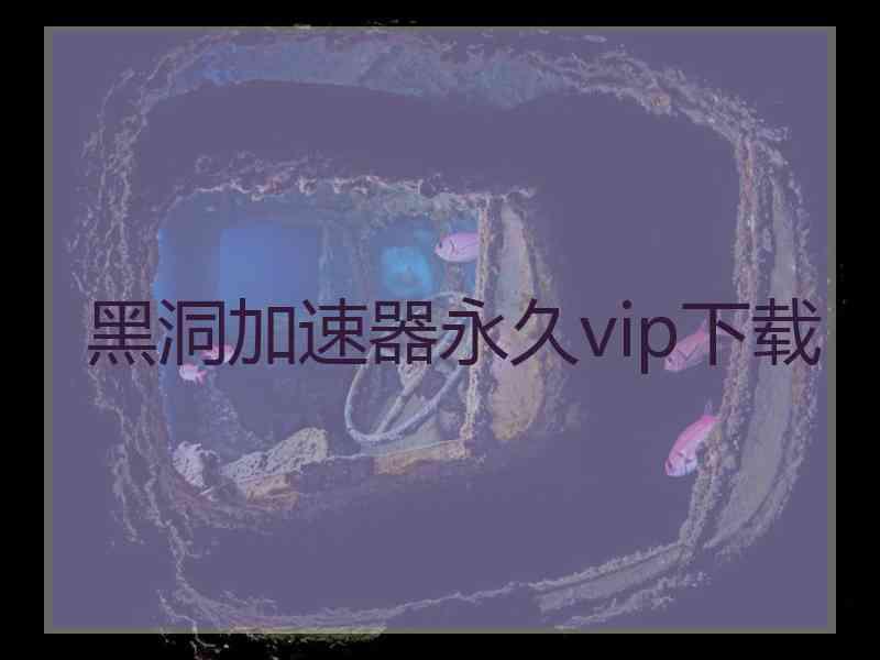 黑洞加速器永久vip下载