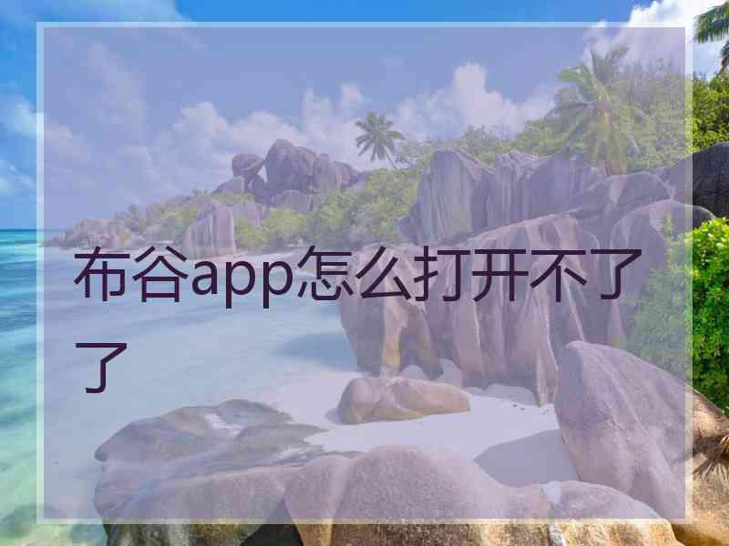 布谷app怎么打开不了了