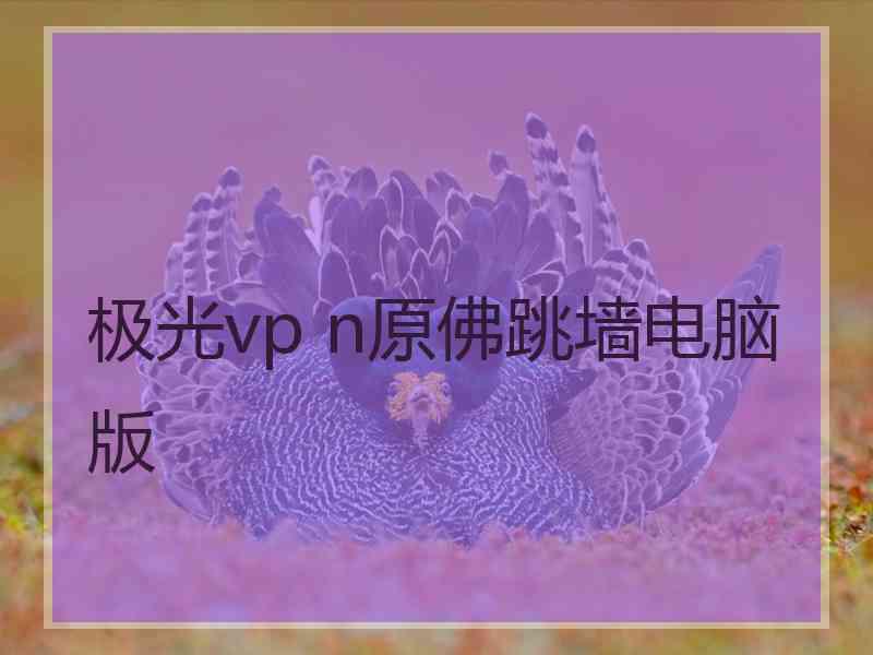 极光vp n原佛跳墙电脑版