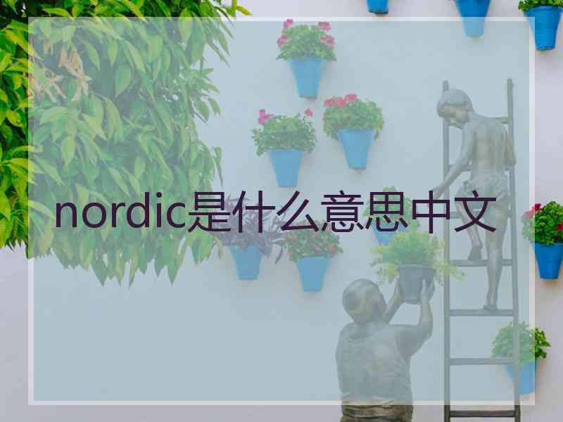 nordic是什么意思中文